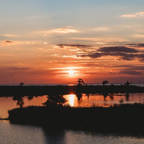 Energy inspection services - Louisiana