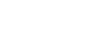 PDI Solutions Logo